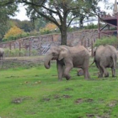 Opel-Zoo Kronberg