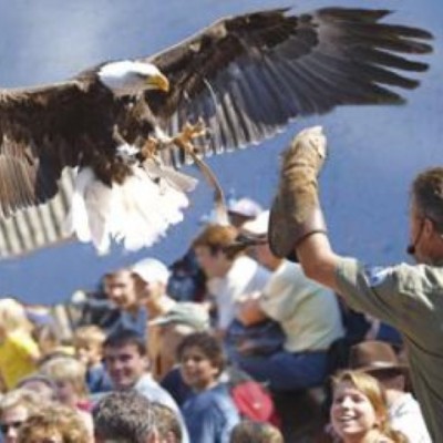 Vogelpark Steinen