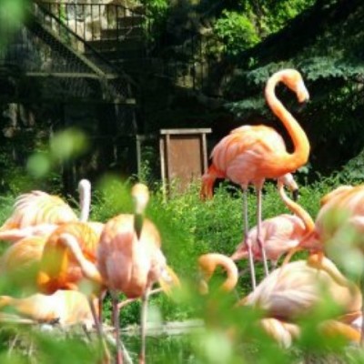 Zoologischer Garten Dresden