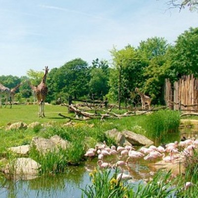 Zoo Leipzig